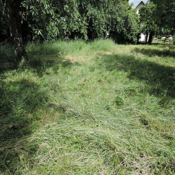 Offres de vente Terrain Valentigney 25700